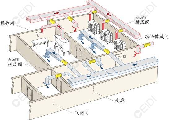 動物房潔凈室空調設計：開放式籠架具屏障環境送回風設計要點  CEIDI西遞