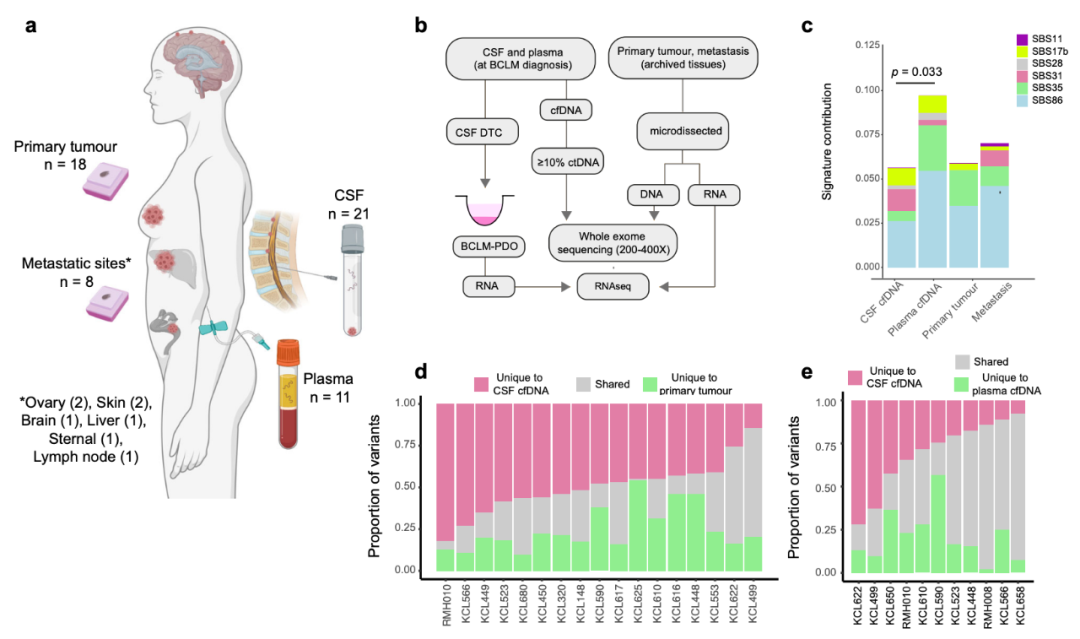 Nature子刊：患者來源的類器官，為乳腺癌腦轉移帶來新見解